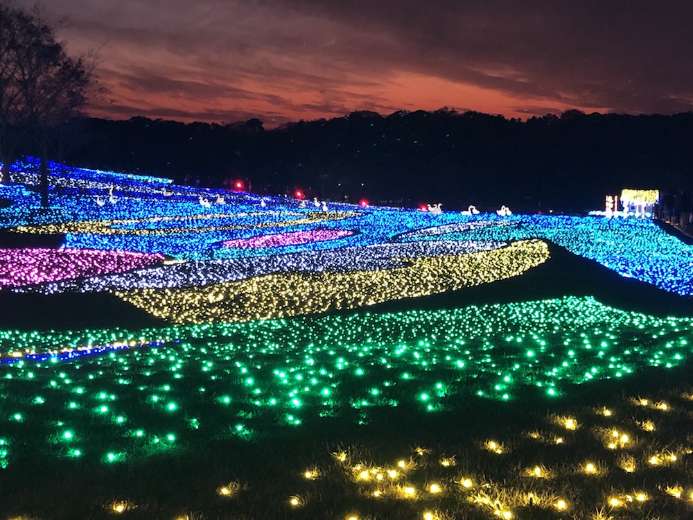 東京ドイツ村イルミネーション2018にいってきたよ