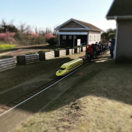 蓮沼海浜公園の日本一長いミニトレイン