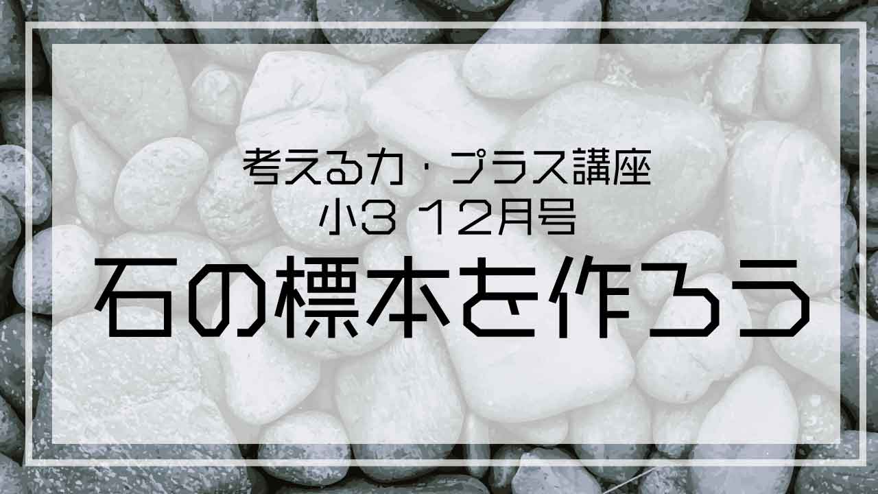 「石の標本を作ろう」チバニアン地層、粟又の滝、濃溝の滝に行って来ました。