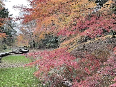 濃溝の滝