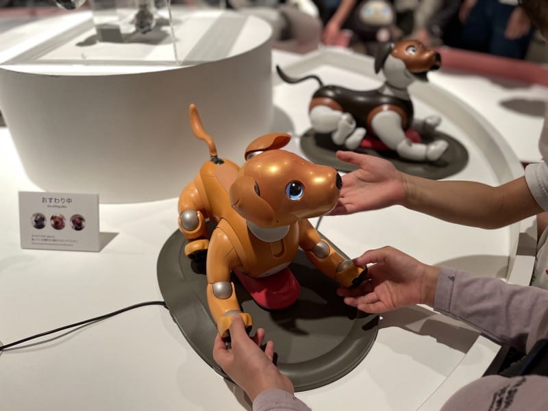 きみロボ展Zone2aibo